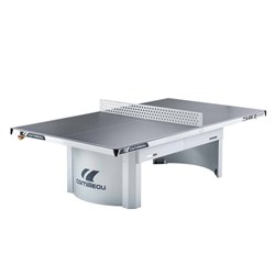 Ping Pong Table Park Game