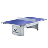 Ping Pong Table Park Game
