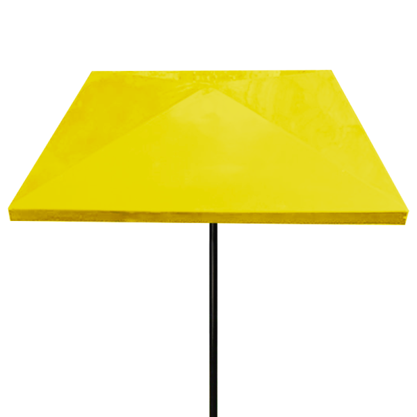 6' Square Umbrella 