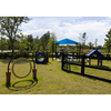 RECF0006XX - Through The Target Dog Exercise Equipment For Parks - Inground Mount