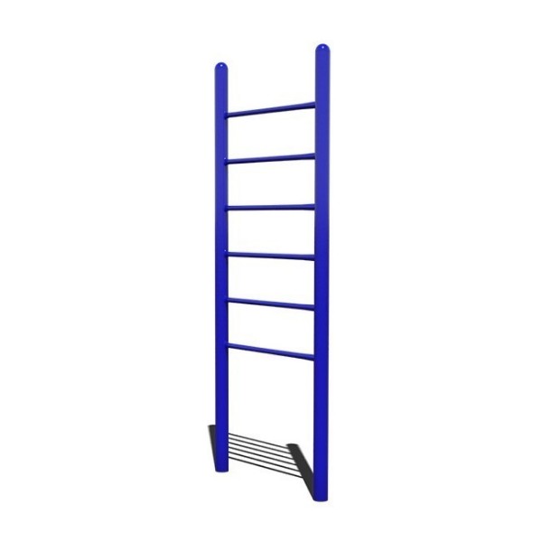 Vertical Ladder