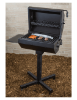 Covered Group Park Grill - 500 Sq. Inch Cooking Surface - Inground Mount