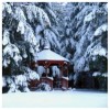 Natural Wood Gazebo Snow