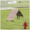 Dog Park Climbing Ramp Scene