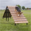 Dog Park Climbing Ramp Scene