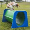 Crawl & Agility Tunnel - Leap