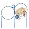 Double Hoop Jump