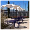 6' Wave Umbrella