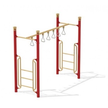 Trapeze Ring Overhead Ladder