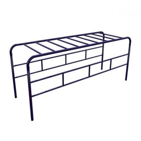ADA Horizontal Ladder