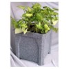 Small Plastic Cube Planter
