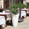 Modesto Tall Plastic Planter