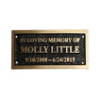 Large Bronze Memorial Plaque