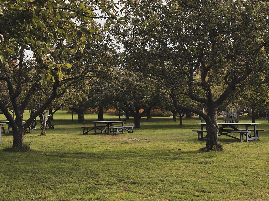 Park Equipment: Enhancing Public Spaces