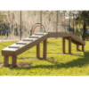 RECF0015XX - Walk The Plank Dog Exercise Equipment For Parks - Inground Mount