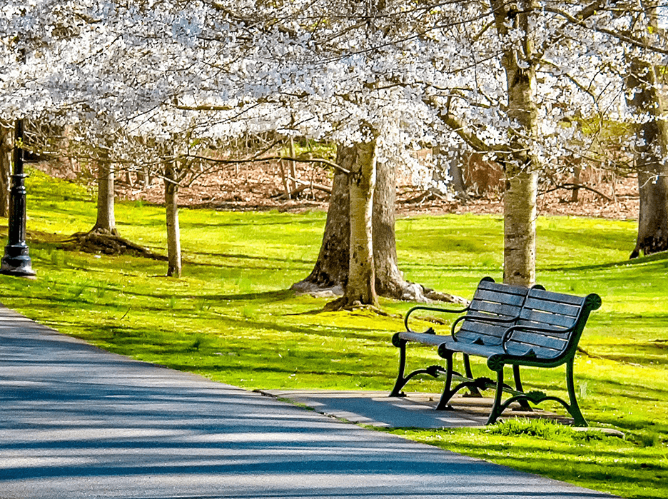 What Are Park Benches Made Of?