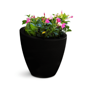 Modesto Plastic Planter